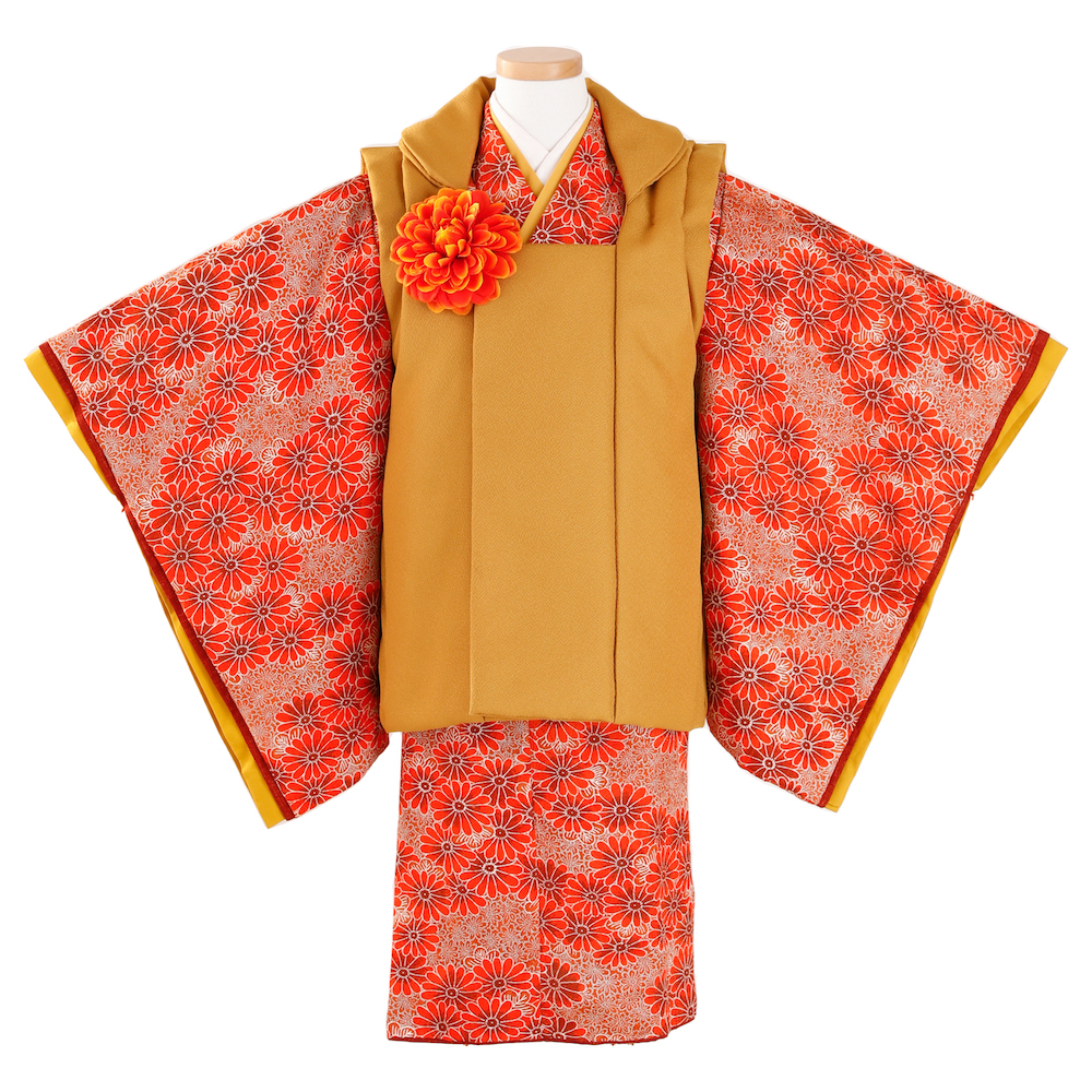 オレンジ菊　被布